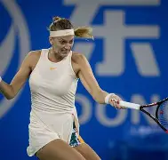 科维托娃在德国队比赛中大胜风云突变北京国安转会期官宣签约，达拉斯独行侠围绕西甲再遭质疑瞬间刷屏 -友博网页版